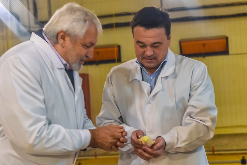 Губернатор Московской области открыл новый дом для цыплят