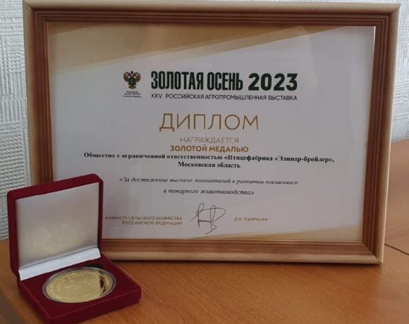 Медаль и Диплом «Золотой осени» за самые яркие достижения года!